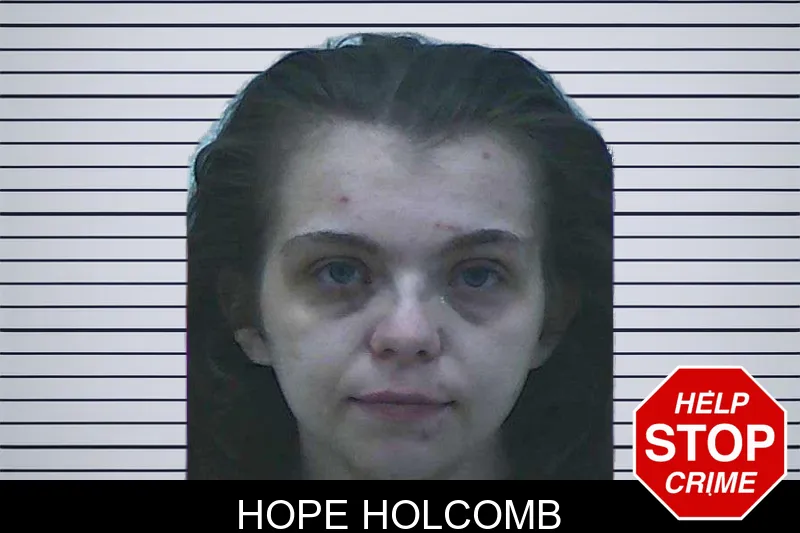 Hope Holcomb mugshot