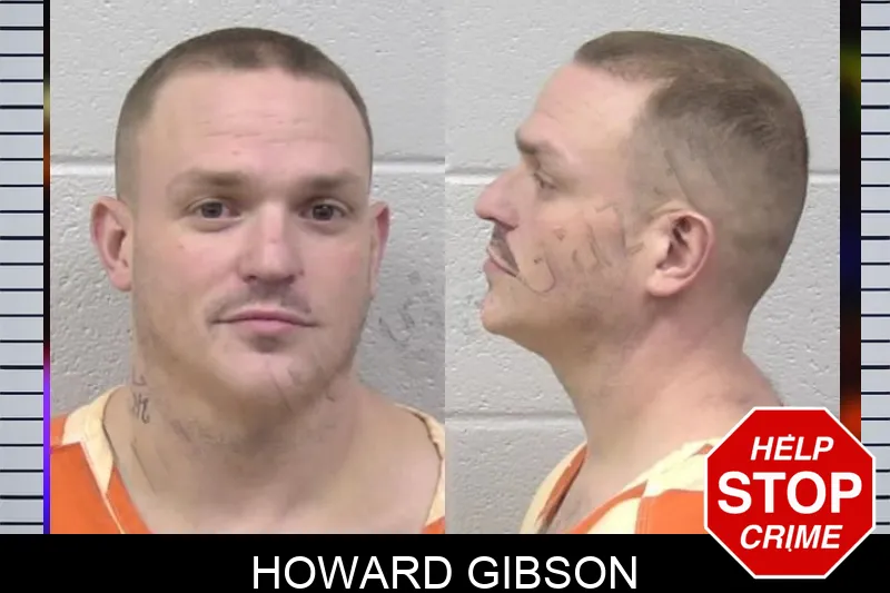 Howard Gibson mugshot