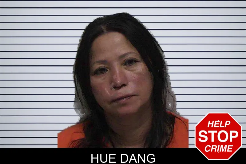 Hue Dang mugshot