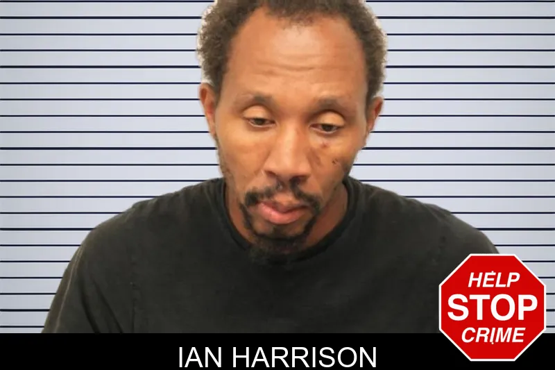 Ian Harrison mugshot – Chatham County , Georgia Ian Harrison mugshot