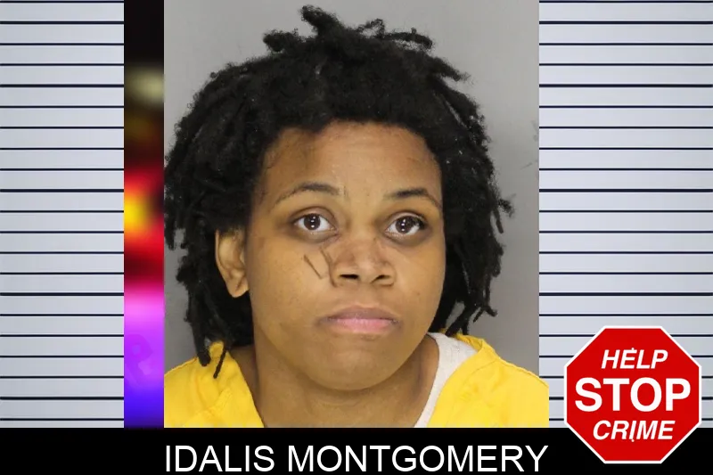 Idalis Montgomery mugshot