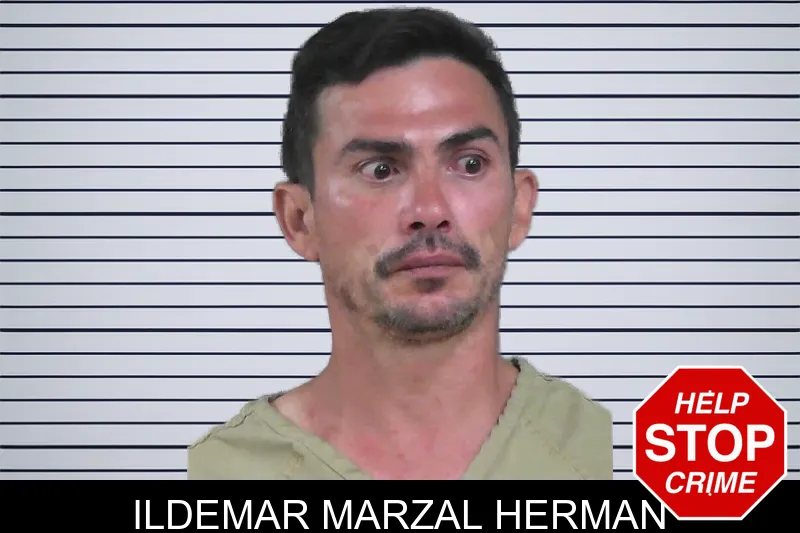 Ildemar Marzal Herman mugshot