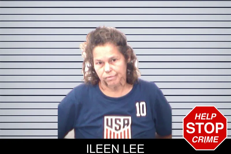 Ileen Lee mugshot