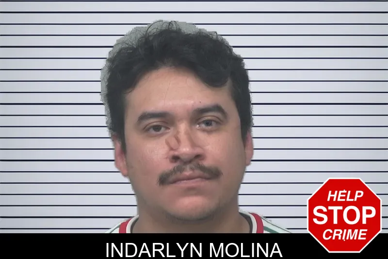 Indarlyn Molina mugshot