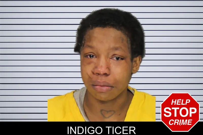 Indigo Ticer mugshot – Cobb County , Georgia Indigo Ticer mugshot