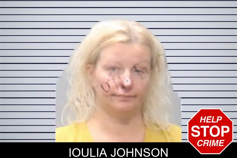 Ioulia Johnson mugshot