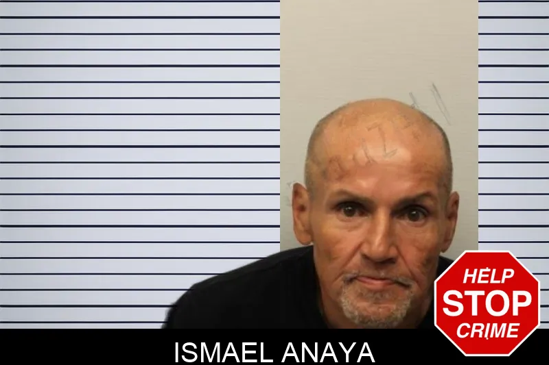 Ismael Anaya mugshot – Chatham County , Georgia Ismael Anaya mugshot