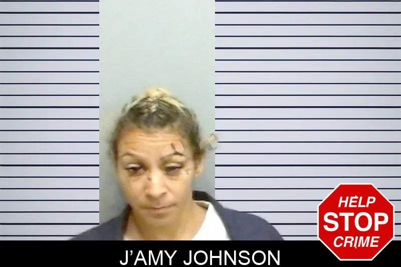 J’Amy Johnson mugshot