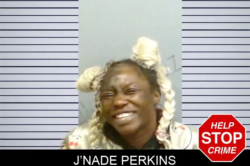 J’Nade Perkins mugshot