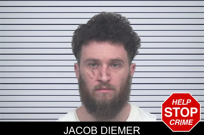 Jacob Diemer mugshot