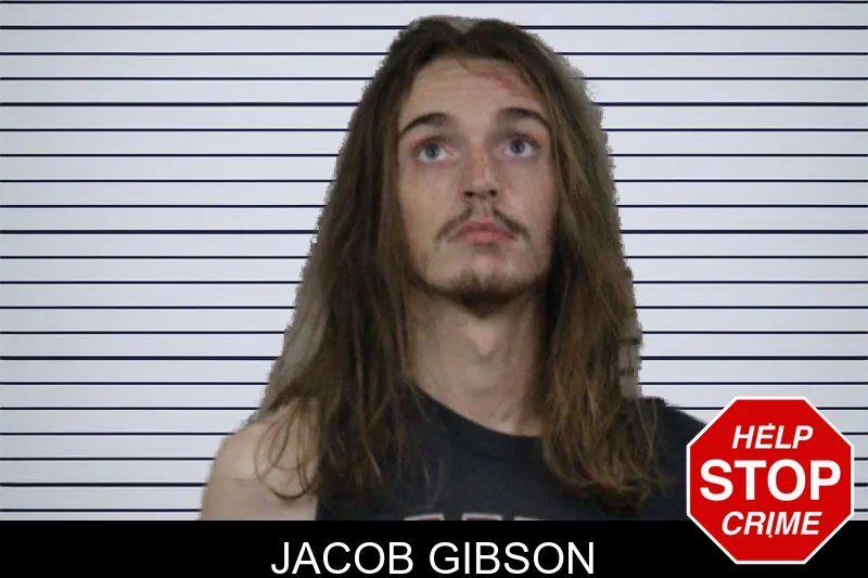 Jacob Gibson mugshot
