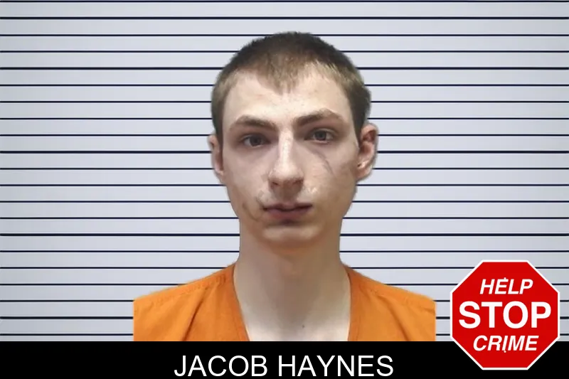 Jacob Haynes mugshot