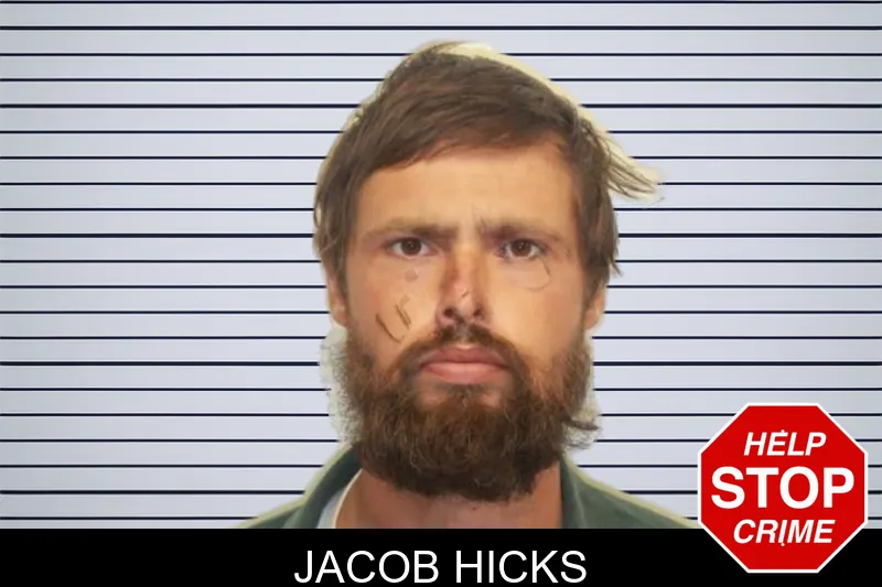 Jacob Hicks mugshot – Chatham County , Georgia Jacob Hicks mugshot