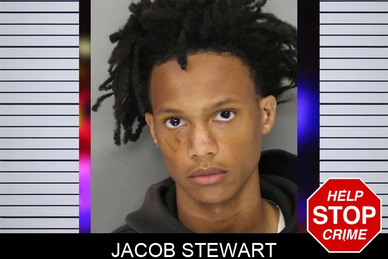 Jacob Stewart mugshot