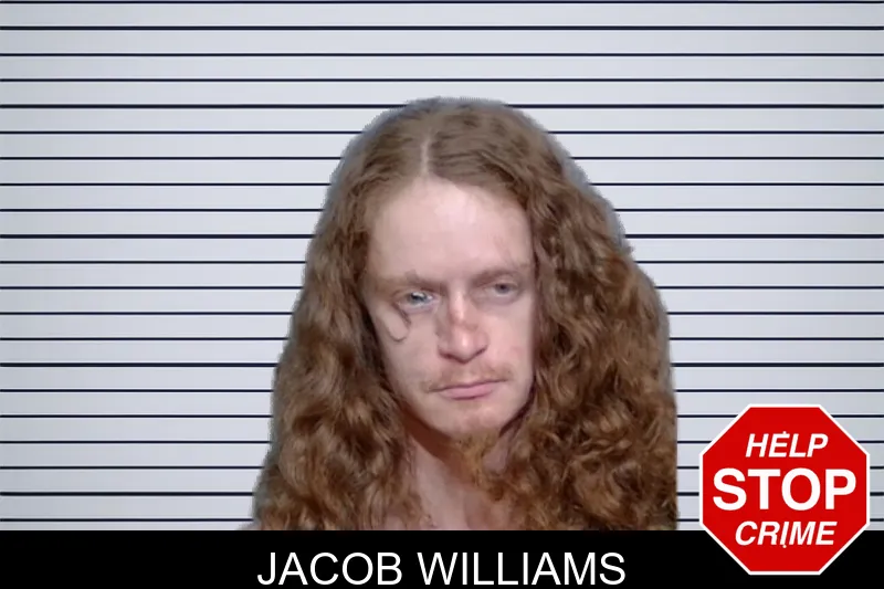 Jacob Williams mugshot