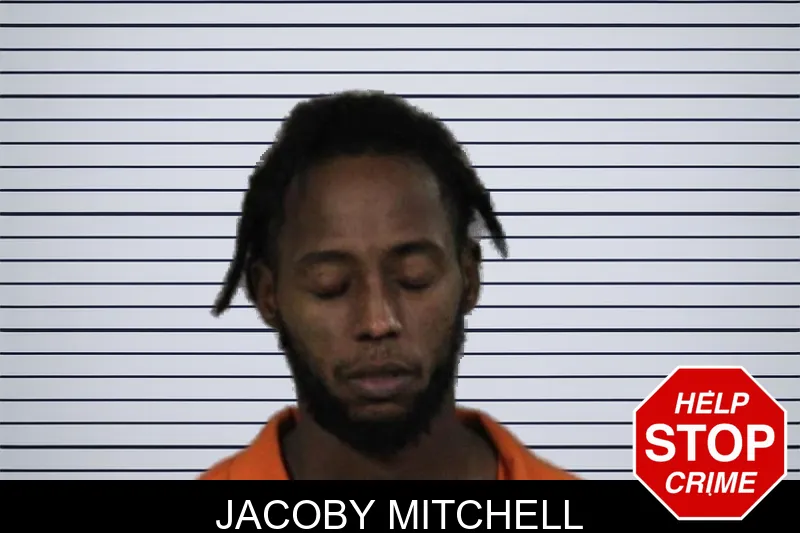 Jacoby Mitchell mugshot – Lamar County , Georgia Jacoby Mitchell mugshot