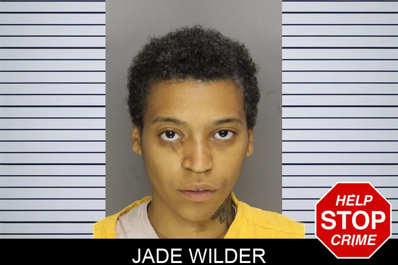 Jade Wilder mugshot – Cobb County , Georgia Jade Wilder mugshot