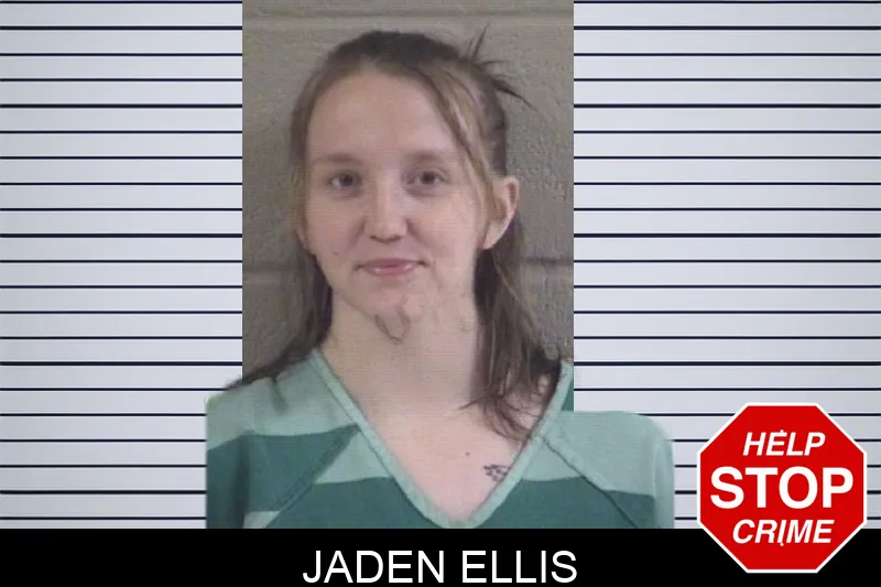 Jaden Ellis mugshot