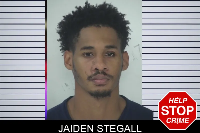 Jaiden Stegall mugshot – Fayette County , Georgia Jaiden Stegall mugshot