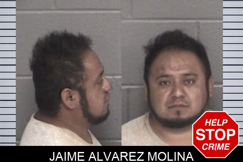 Jaime Alvarez Molina mugshot