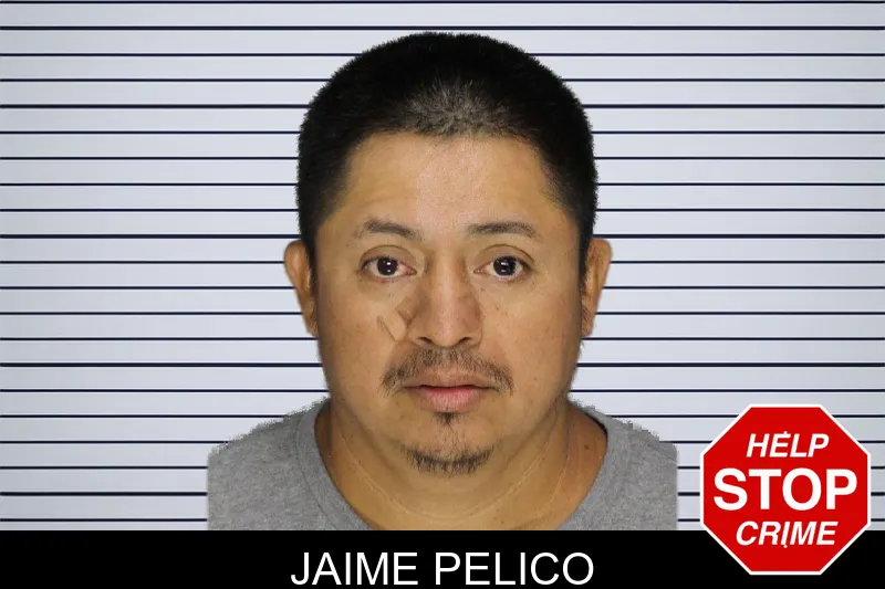 Jaime Pelico mugshot – Cobb County , Georgia Jaime Pelico mugshot