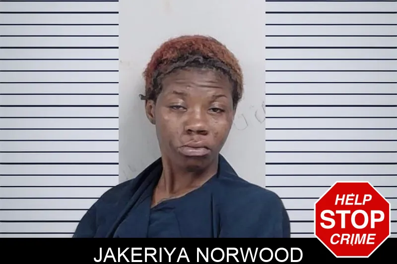 Jakeriya Norwood mugshot