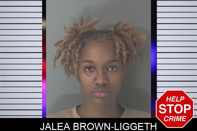 Jalea Brown-Liggeth mugshot
