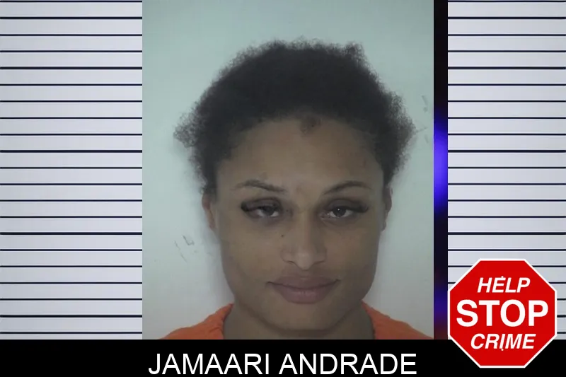 Jamaari Andrade mugshot