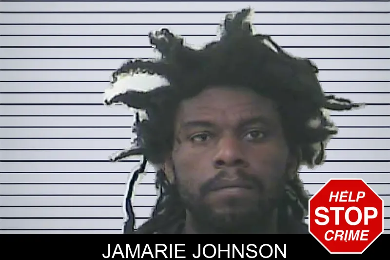 Jamarie Johnson mugshot