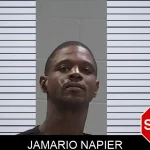 Jamario Napier mugshot