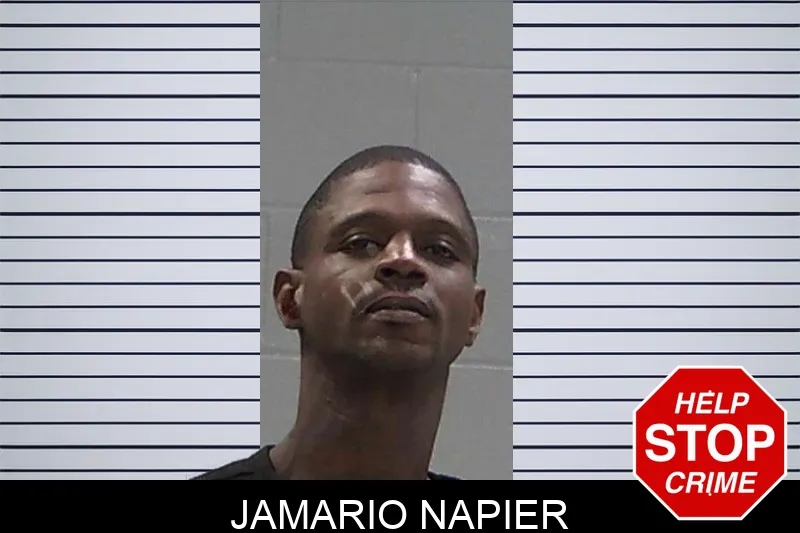 Jamario Napier mugshot