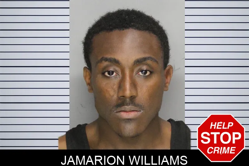 Jamarion Williams mugshot