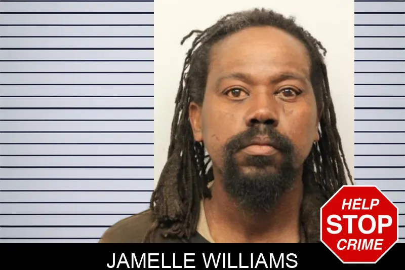 Jamelle Williams mugshot