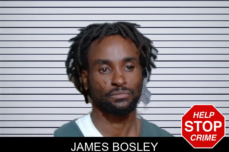 James Bosley mugshot