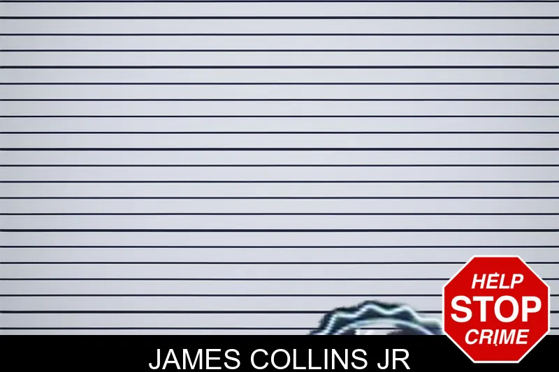 James Collins Jr mugshot