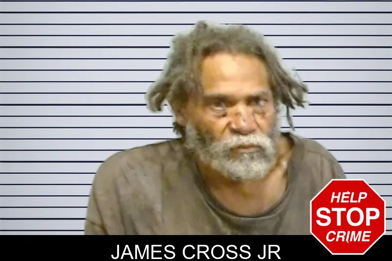James Cross Jr mugshot – Fulton County , Georgia James Cross Jr mugshot