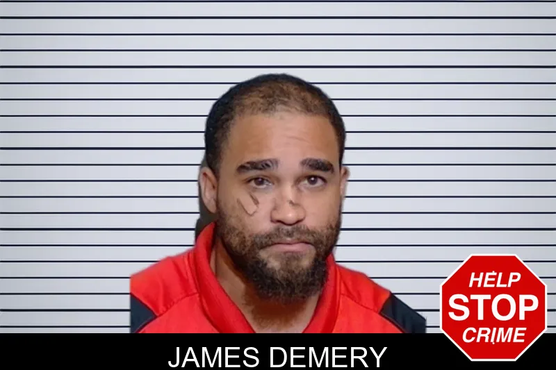 James Demery mugshot – Glynn County , Georgia James Demery mugshot