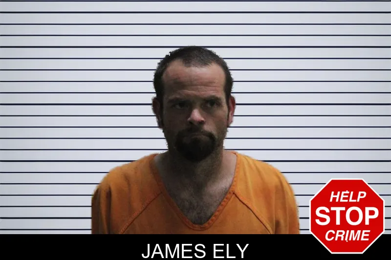 James Ely mugshot – Murray County , Georgia James Ely mugshot