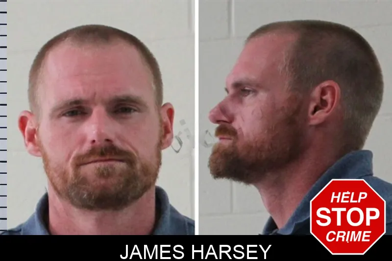 James Harsey mugshot – Houston County , Georgia James Harsey mugshot