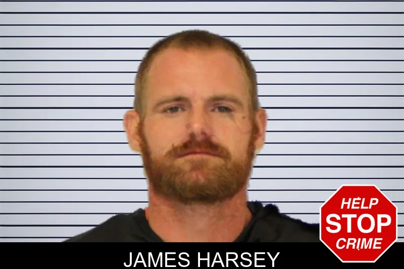James Harsey mugshot – Carroll County , Georgia James Harsey mugshot