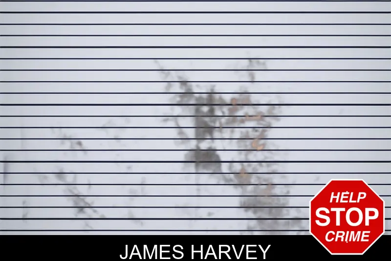 James Harvey mugshot