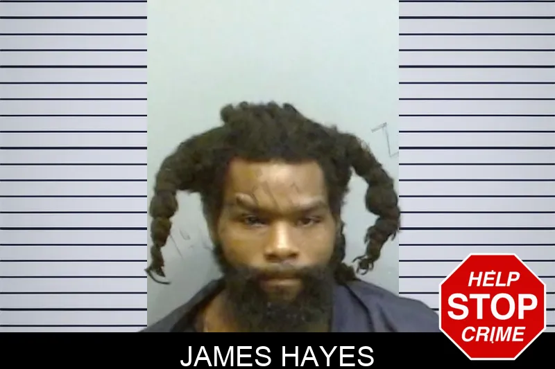 James Hayes mugshot