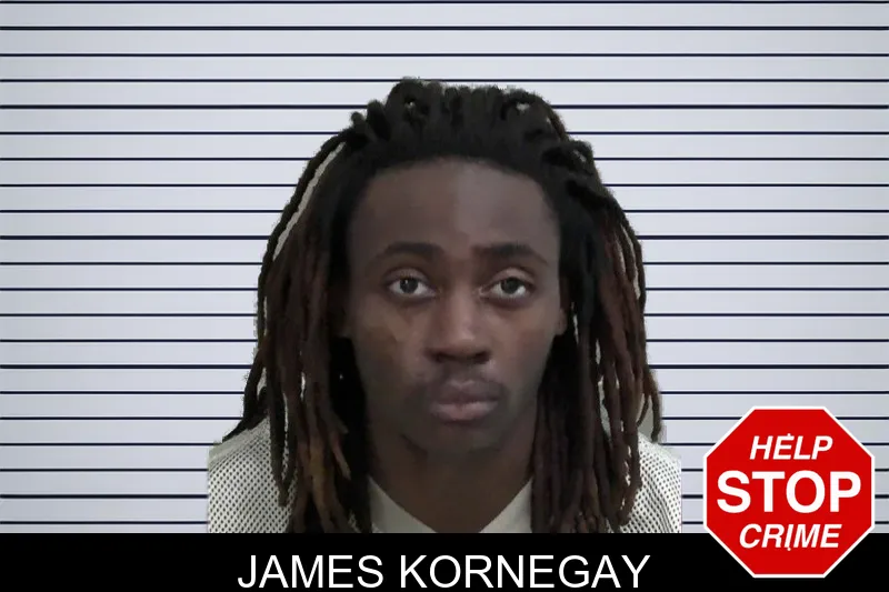 James Kornegay mugshot