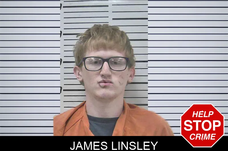 James Linsley mugshot – Colquitt County , Georgia James Linsley mugshot