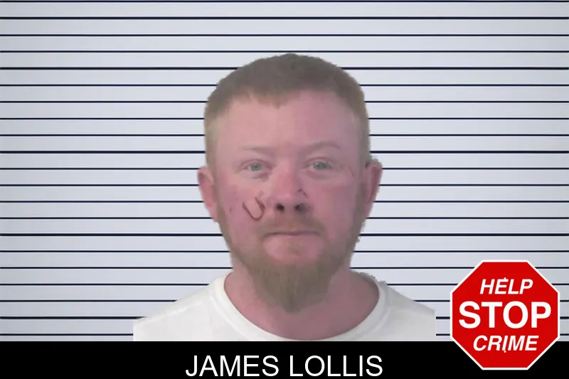 James Lollis mugshot – Newton County , Georgia James Lollis mugshot