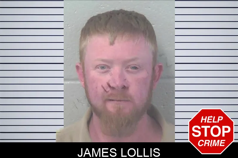 James Lollis mugshot