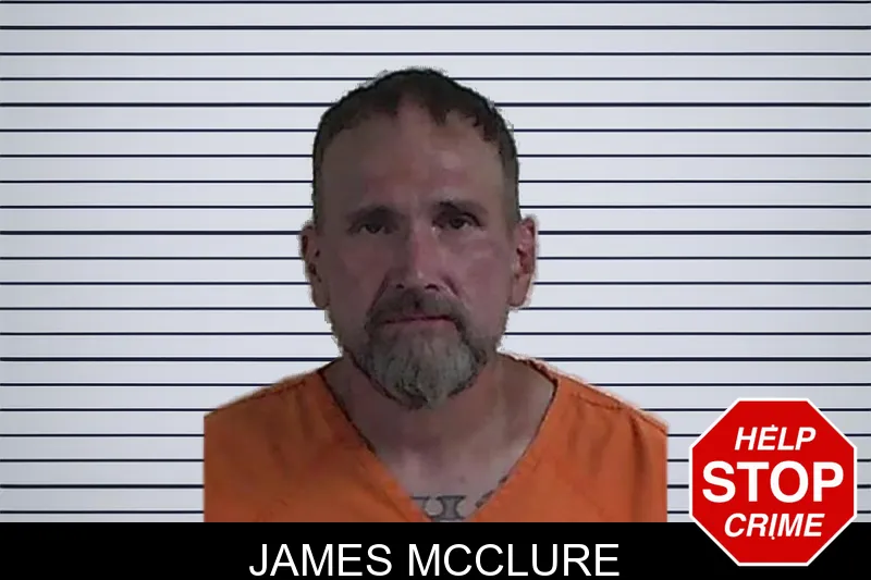 James McClure mugshot – Fannin County , Georgia James McClure mugshot