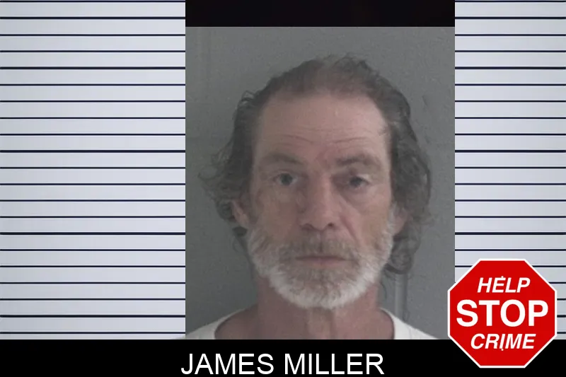 James Miller mugshot – Brantley County , Georgia James Miller mugshot