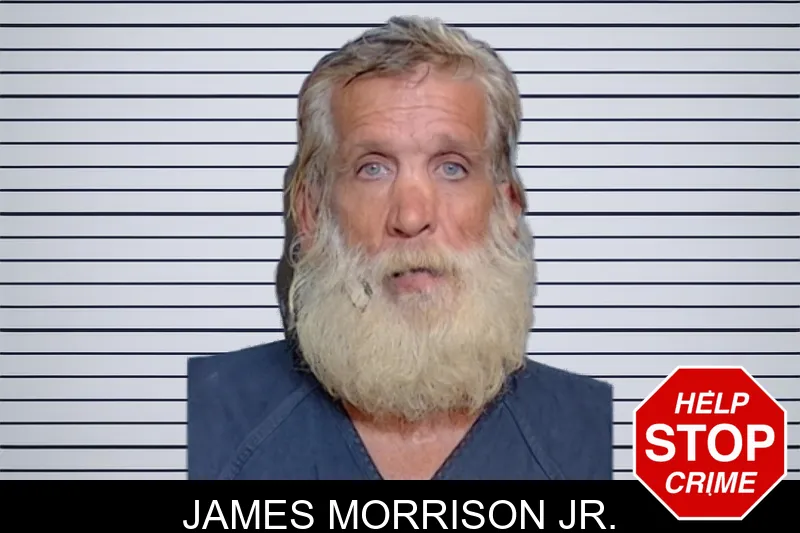 James Morrison Jr. mugshot – Glynn County , Georgia James Morrison Jr. mugshot