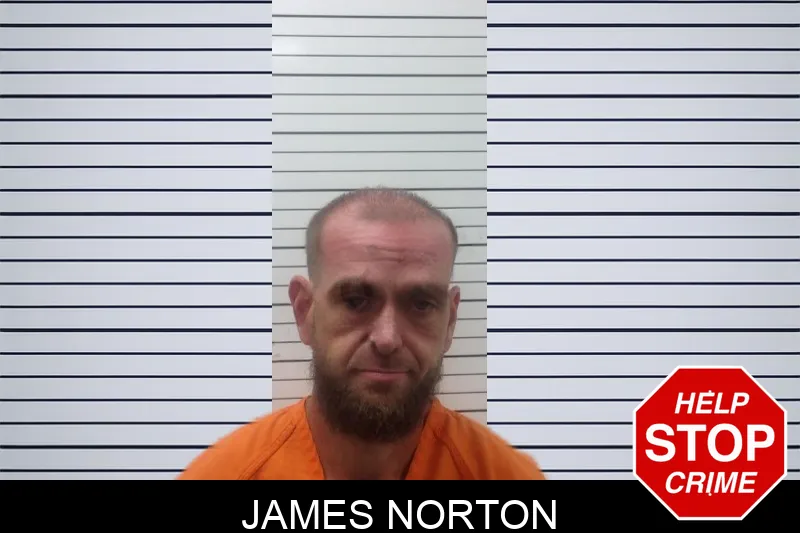 James Norton mugshot